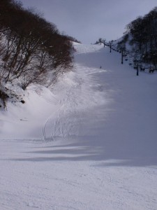 チャンピオン１