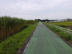 よし笛ロード