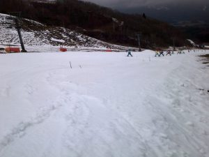 コース整備