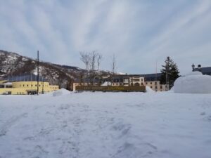 IMG_20240319_070349