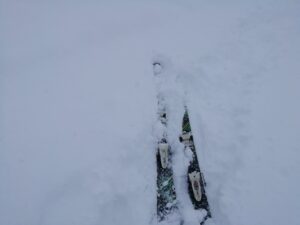 IMG_20240320_074016