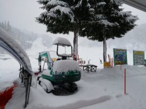 IMG_20250115_075755