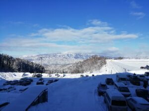 IMG_20250116_090653
