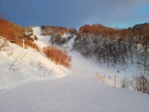 IMG_20250117_164723