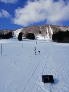 IMG_20250125_130310