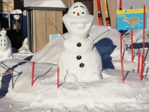 IMG_20250204_081144