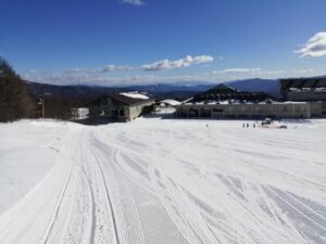 IMG_20250214_093722