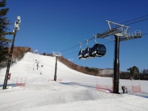 IMG_20250217_075057
