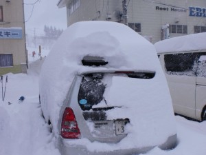 これだけ降りました
