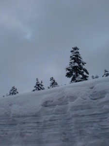 4月末の降雪