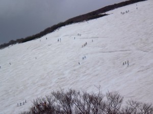 大斜面の滑走状況