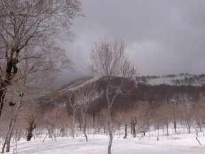 仙人沢（降りてきました）