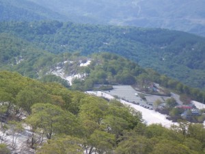 お宿付近