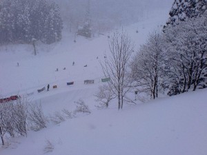 センターコース