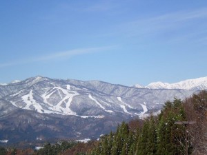 ダイナランドもスノパーも白い♪