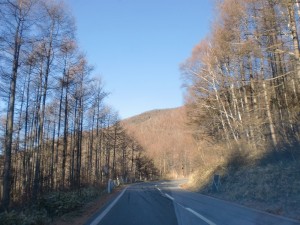 登山路
