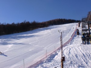 朝の斜面