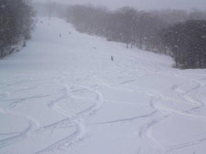 新雪