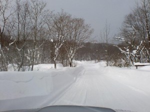 遭難しそう！