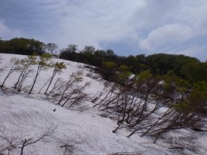 リフトから（海老沢側）