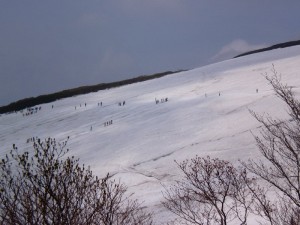 キャンプがいっぱい！
