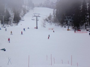 ゲレンデの状況