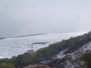 割れの状況