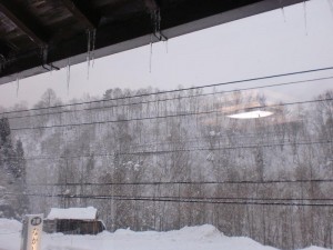 宿から