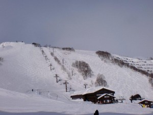 ウサギ平