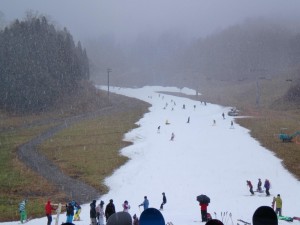 メインゲレンデ
