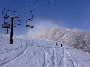 新雪