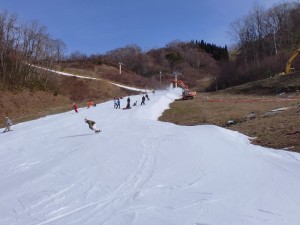 中央上部から上