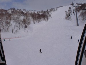 タワーリングダウンヒル