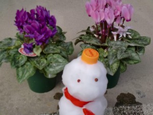 庭でミニ雪ダルマ製作