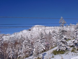 廃コース