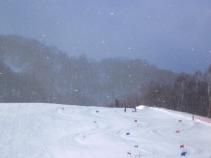 ありがとうございます♪