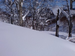 ノートラック発見! ノートラック発見!