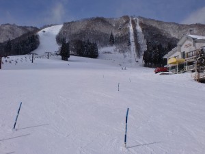 ポール ポール