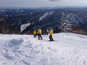 トレーニング