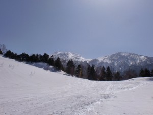 山頂 山頂