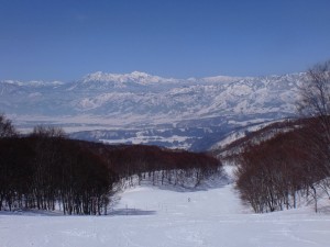 湯の峰のコース