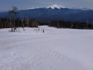 朝1番 朝1番