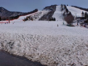 ほおのき