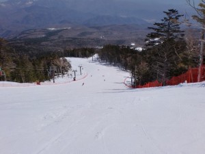 スカイハイ