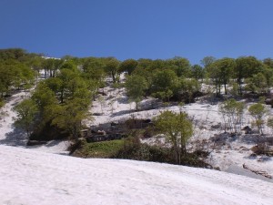 姥沢山荘 姥沢山荘