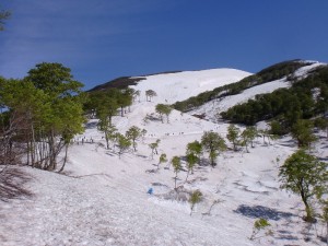 駐車場から