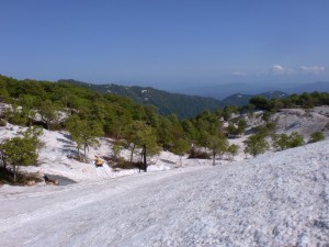 姥沢山荘2 姥沢山荘2