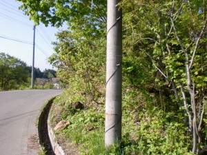 電柱のグルグル 電柱のグルグル