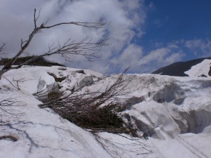 海老沢2 海老沢2