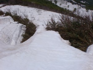 海老沢3 海老沢3